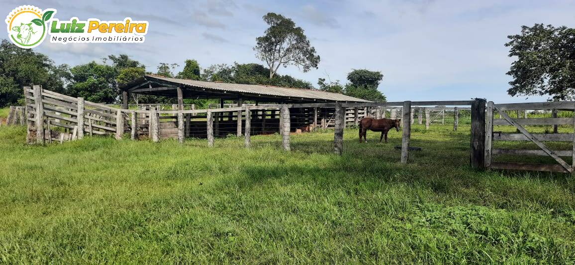 Fazenda à venda, 4017200m² - Foto 10