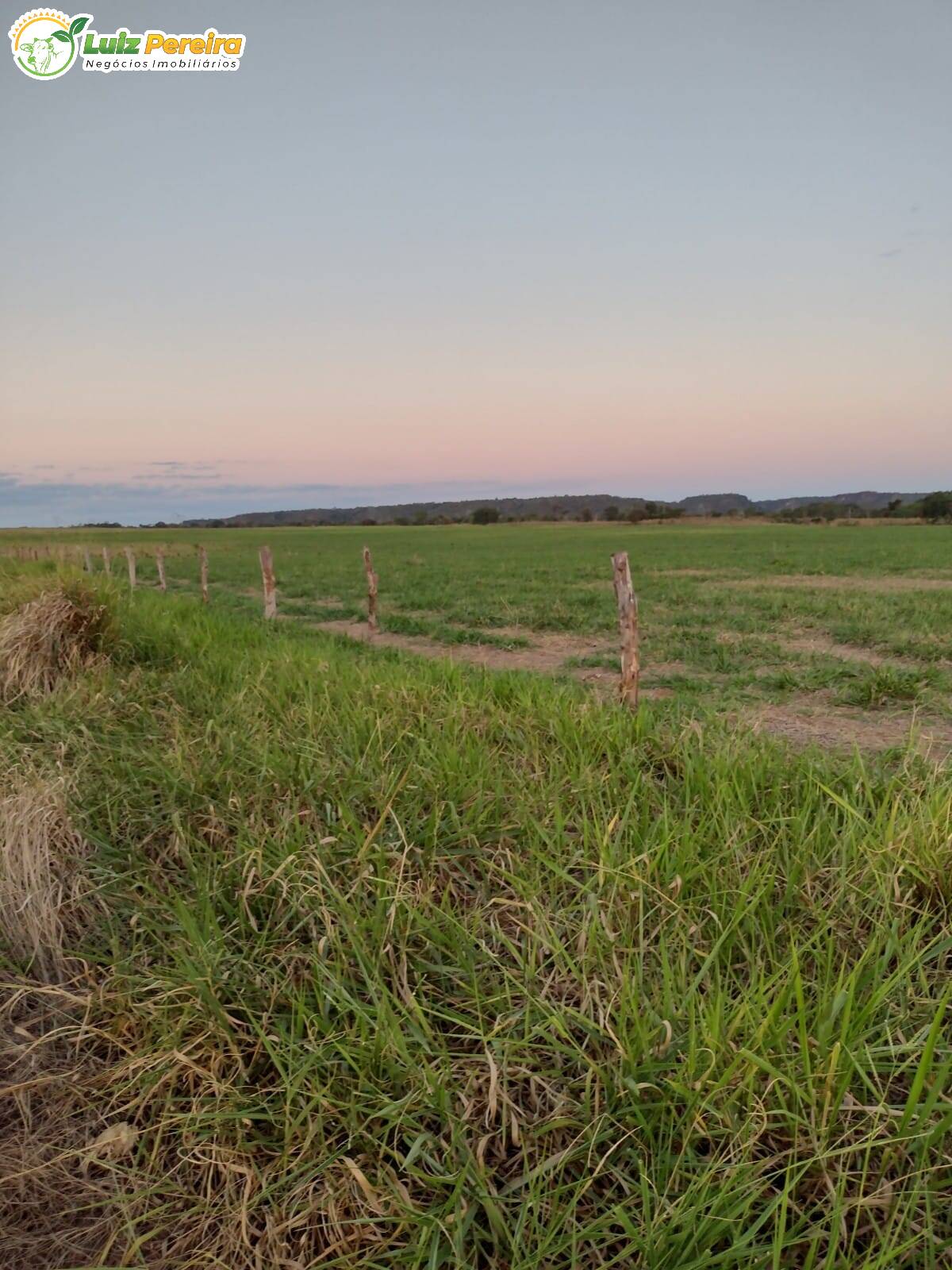 Fazenda à venda, 31460000m² - Foto 6