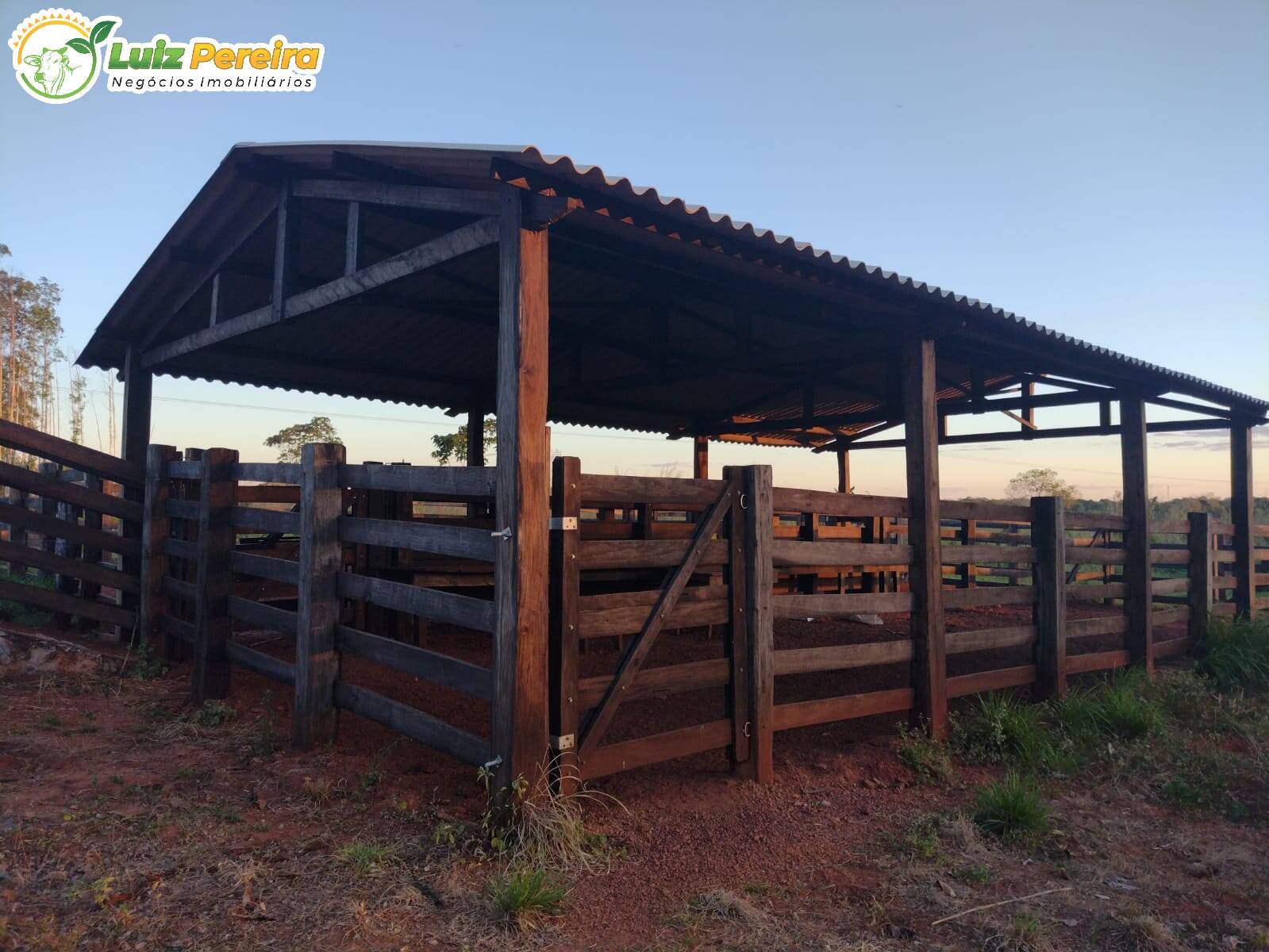 Fazenda à venda, 31460000m² - Foto 9