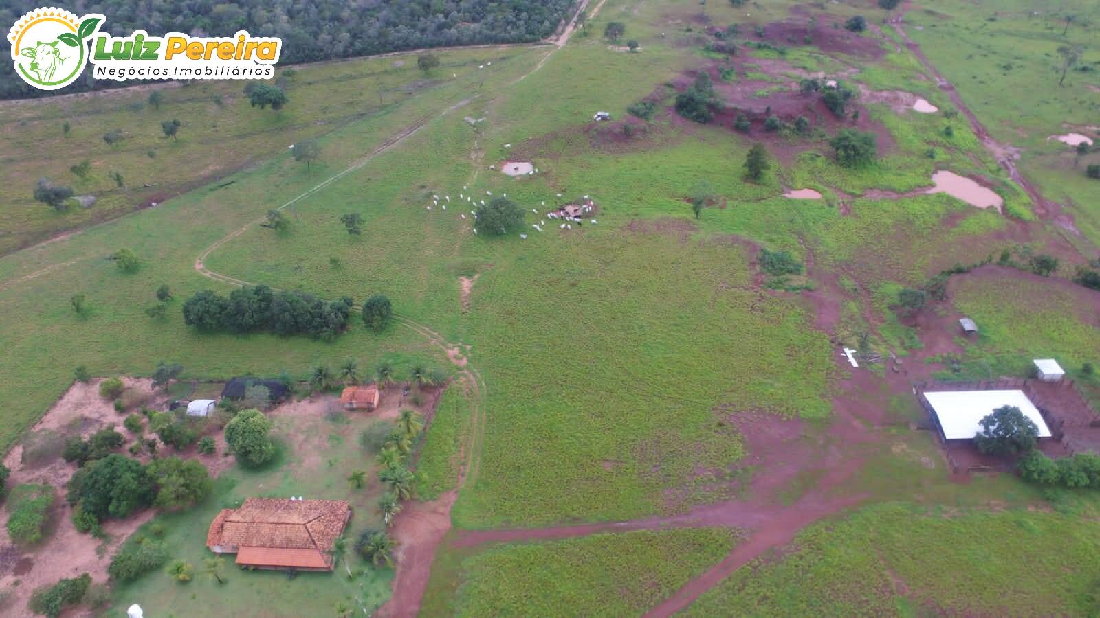 Fazenda-Sítio-Chácara, 3146 hectares - Foto 1