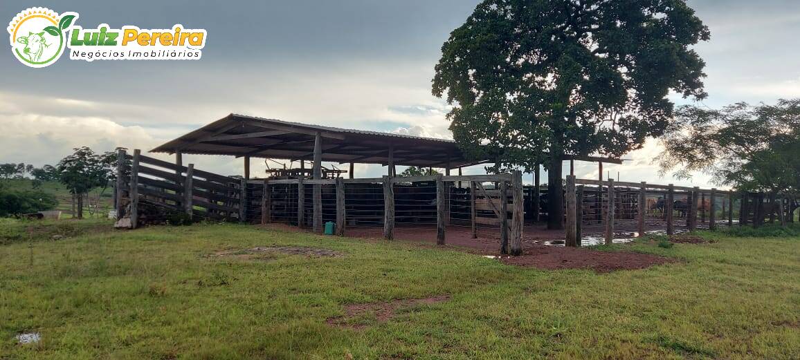 Fazenda à venda, 31460000m² - Foto 10