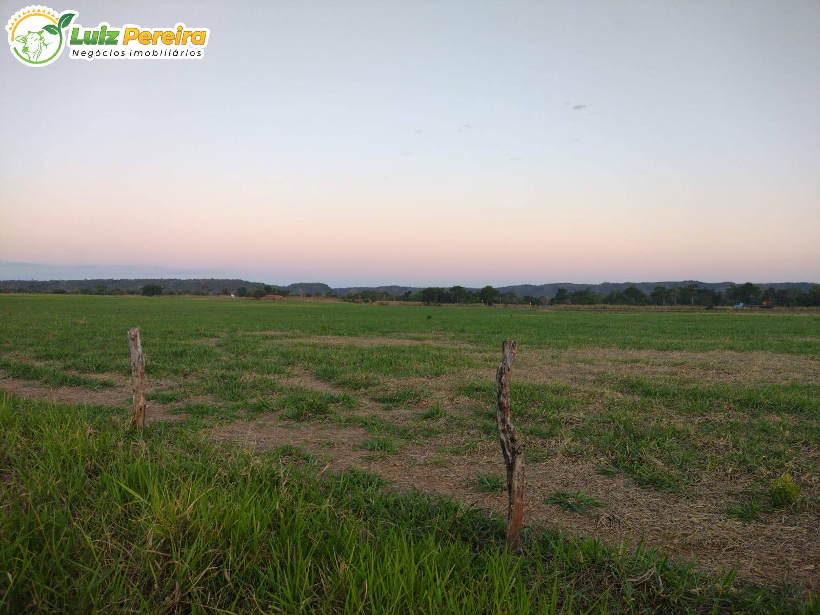 Fazenda à venda, 31460000m² - Foto 5