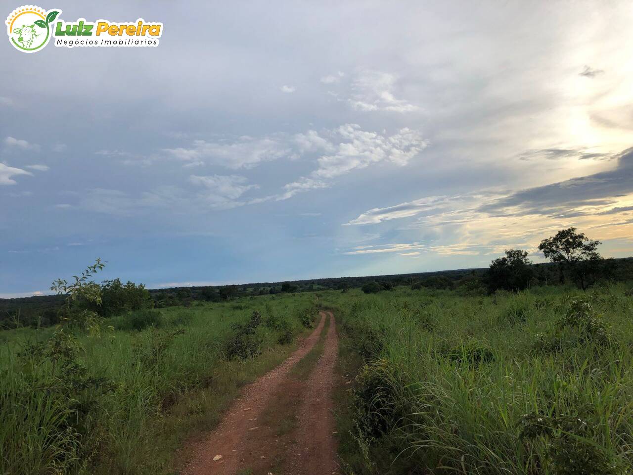 Fazenda à venda, 4695700m² - Foto 23