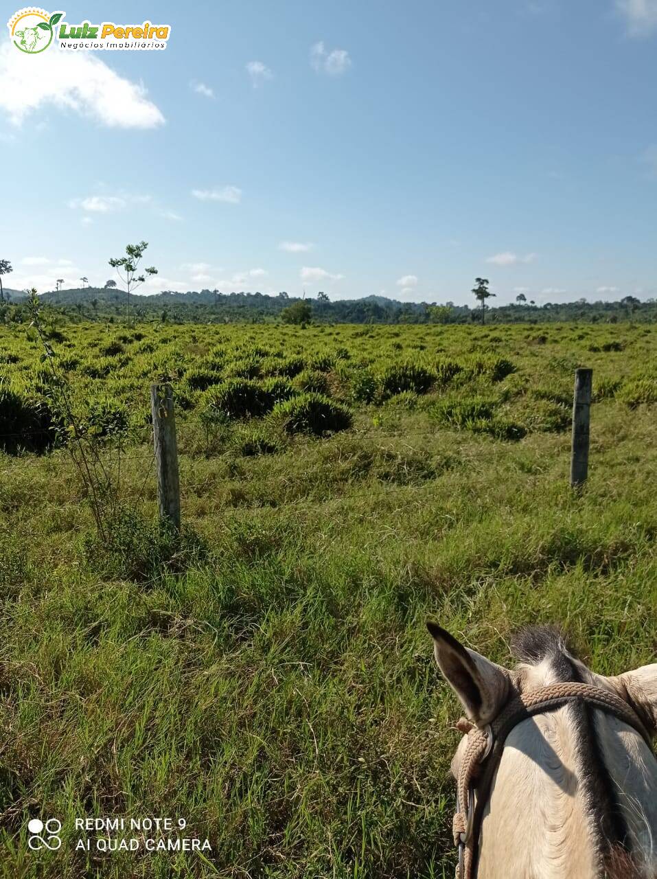 Terreno à venda, 9680000m² - Foto 2