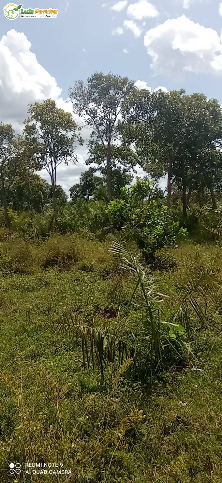 Fazenda à venda, 16940000m² - Foto 7