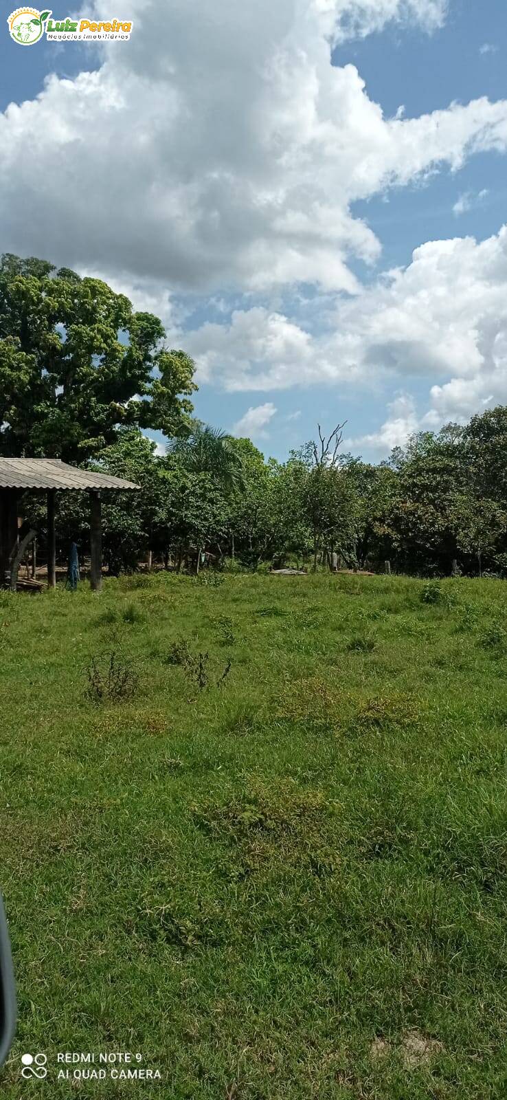 Fazenda à venda, 16940000m² - Foto 8