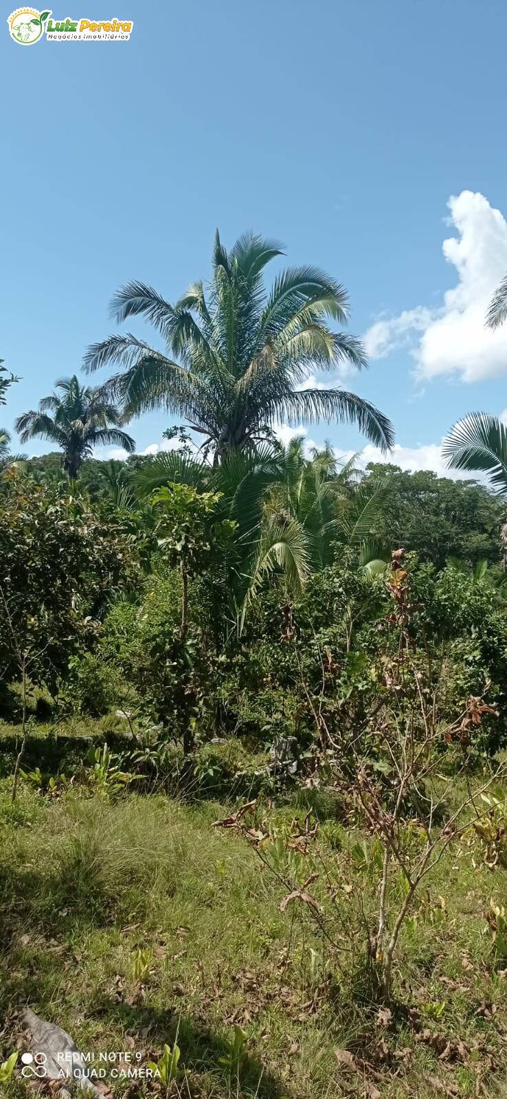 Fazenda à venda, 16940000m² - Foto 9