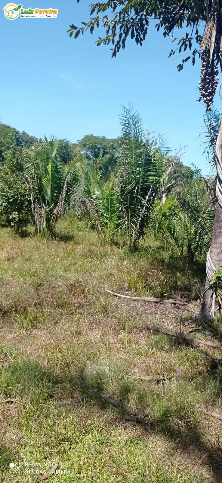 Fazenda à venda, 16940000m² - Foto 10