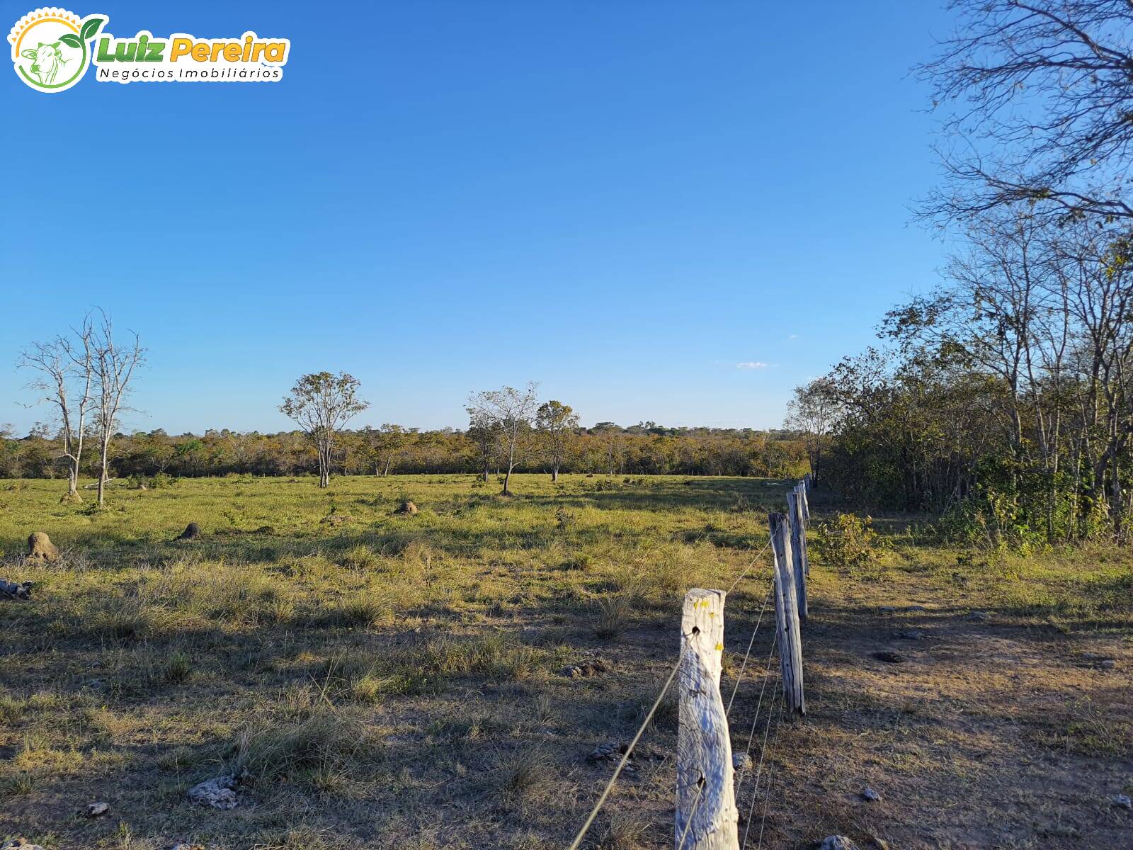 Fazenda à venda, 4840000m² - Foto 6