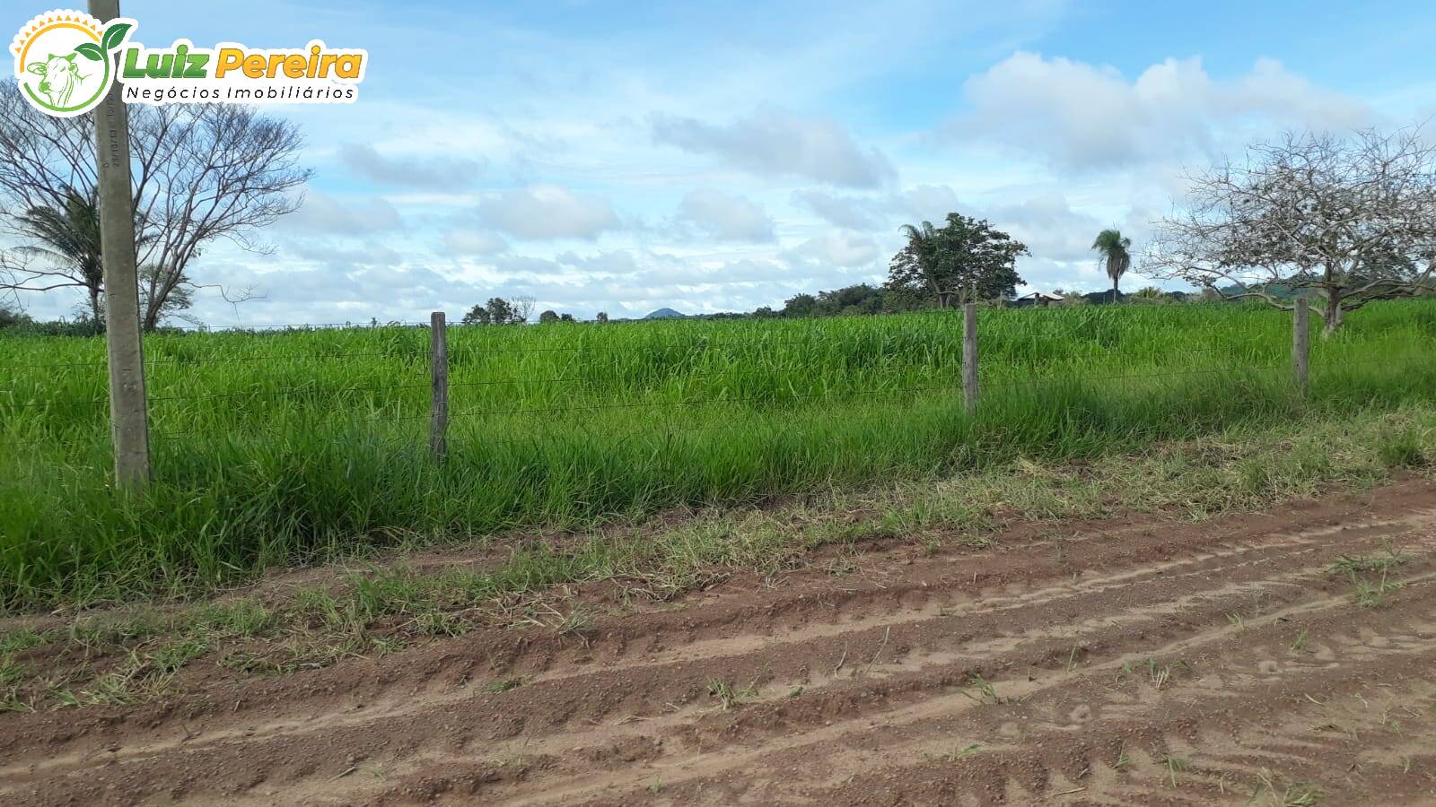 Fazenda à venda, 82280000m² - Foto 10