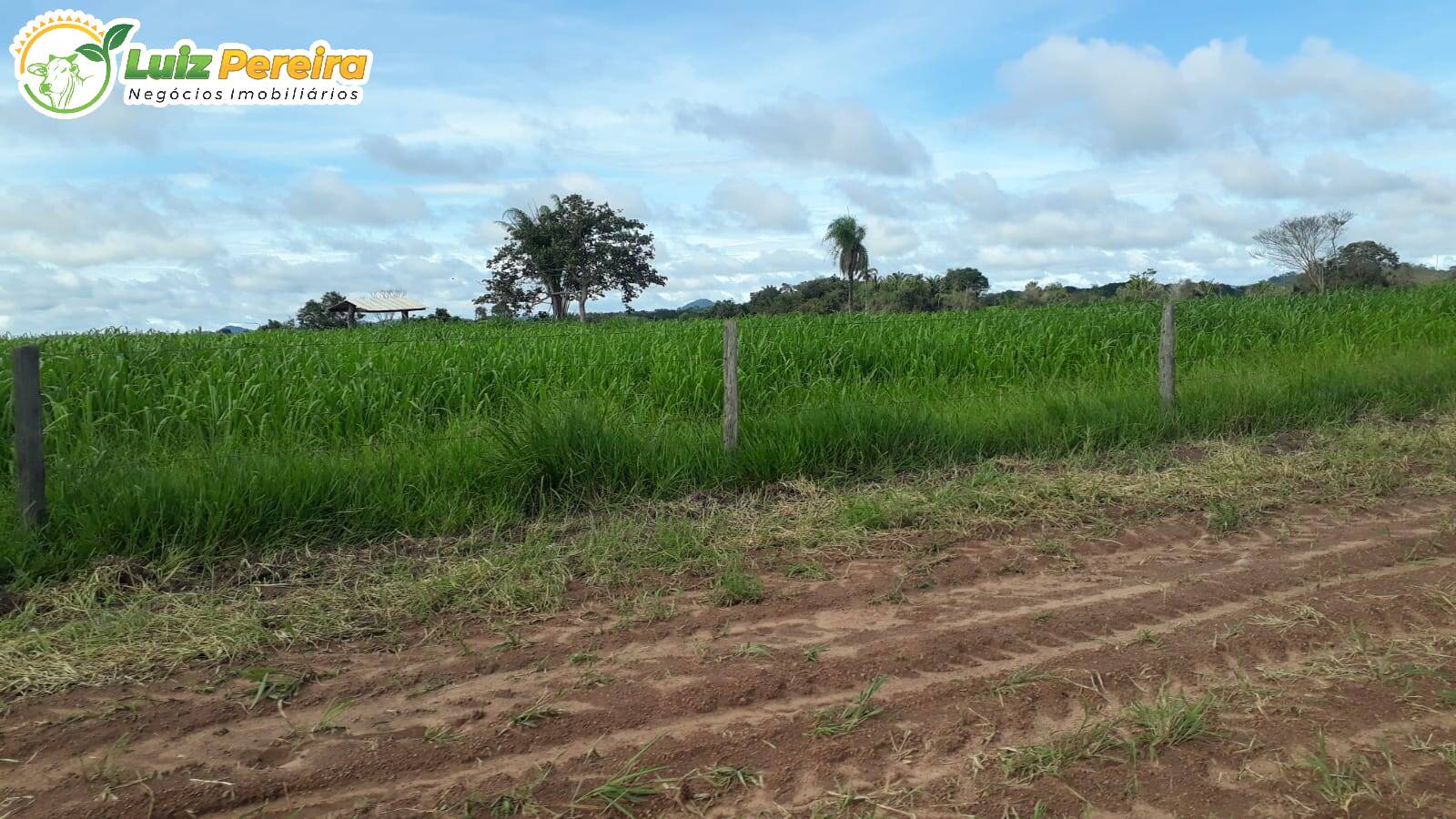 Fazenda à venda, 82280000m² - Foto 11