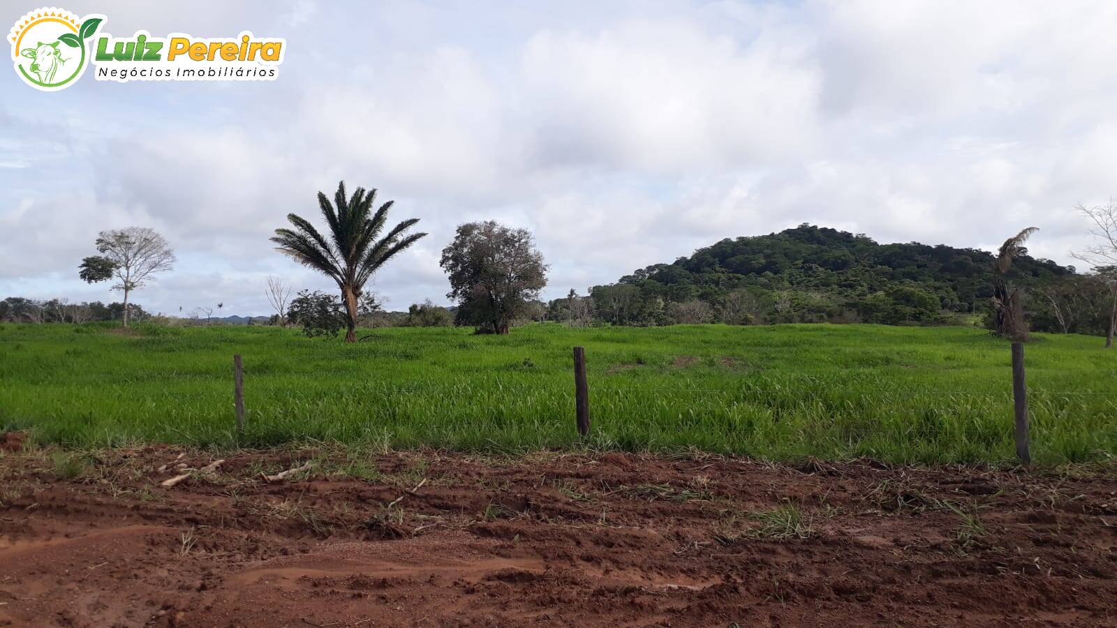 Fazenda à venda, 82280000m² - Foto 12