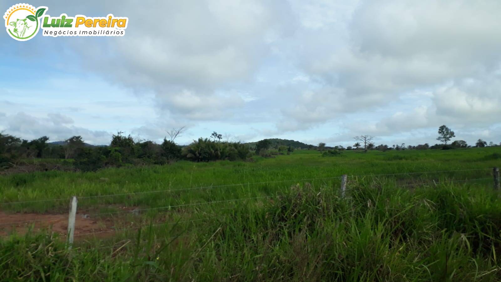 Fazenda à venda, 82280000m² - Foto 13