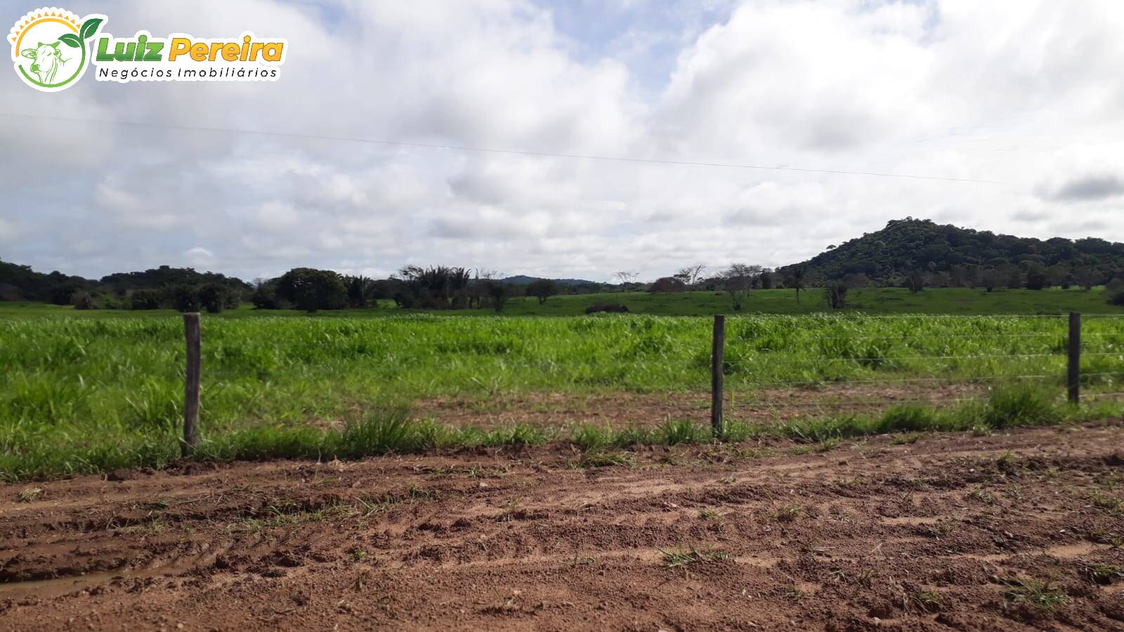 Fazenda à venda, 82280000m² - Foto 14