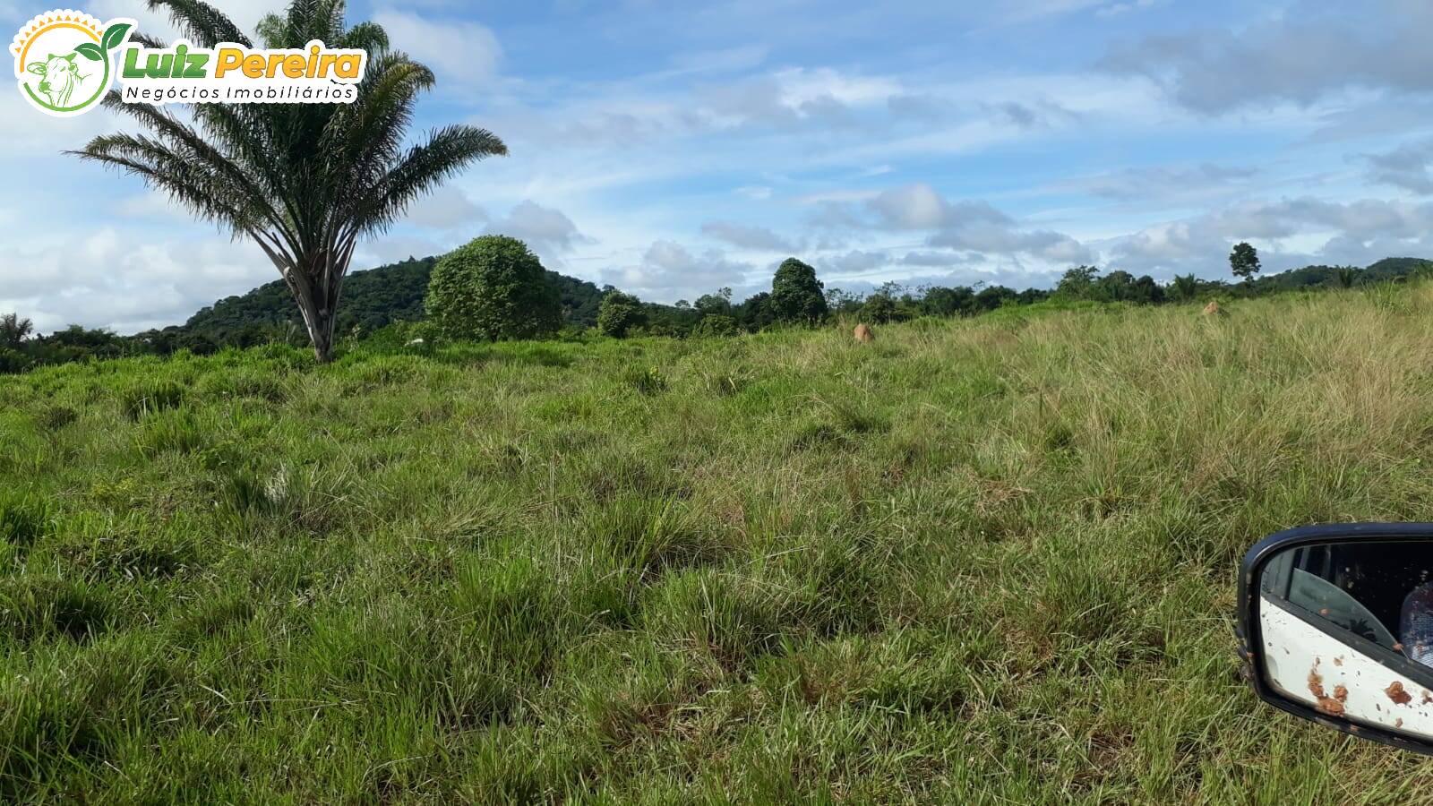 Fazenda-Sítio-Chácara, 8228 hectares - Foto 3