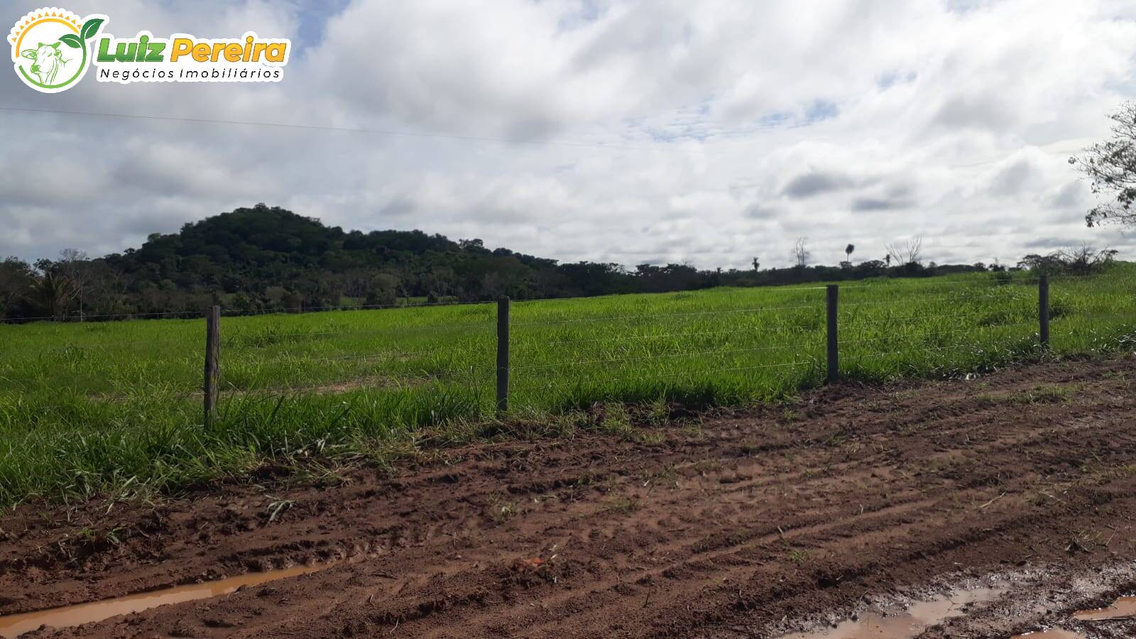 Fazenda à venda, 82280000m² - Foto 15