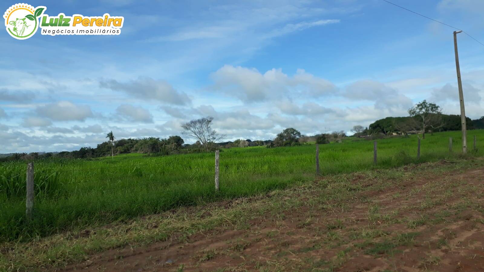 Fazenda à venda, 82280000m² - Foto 16