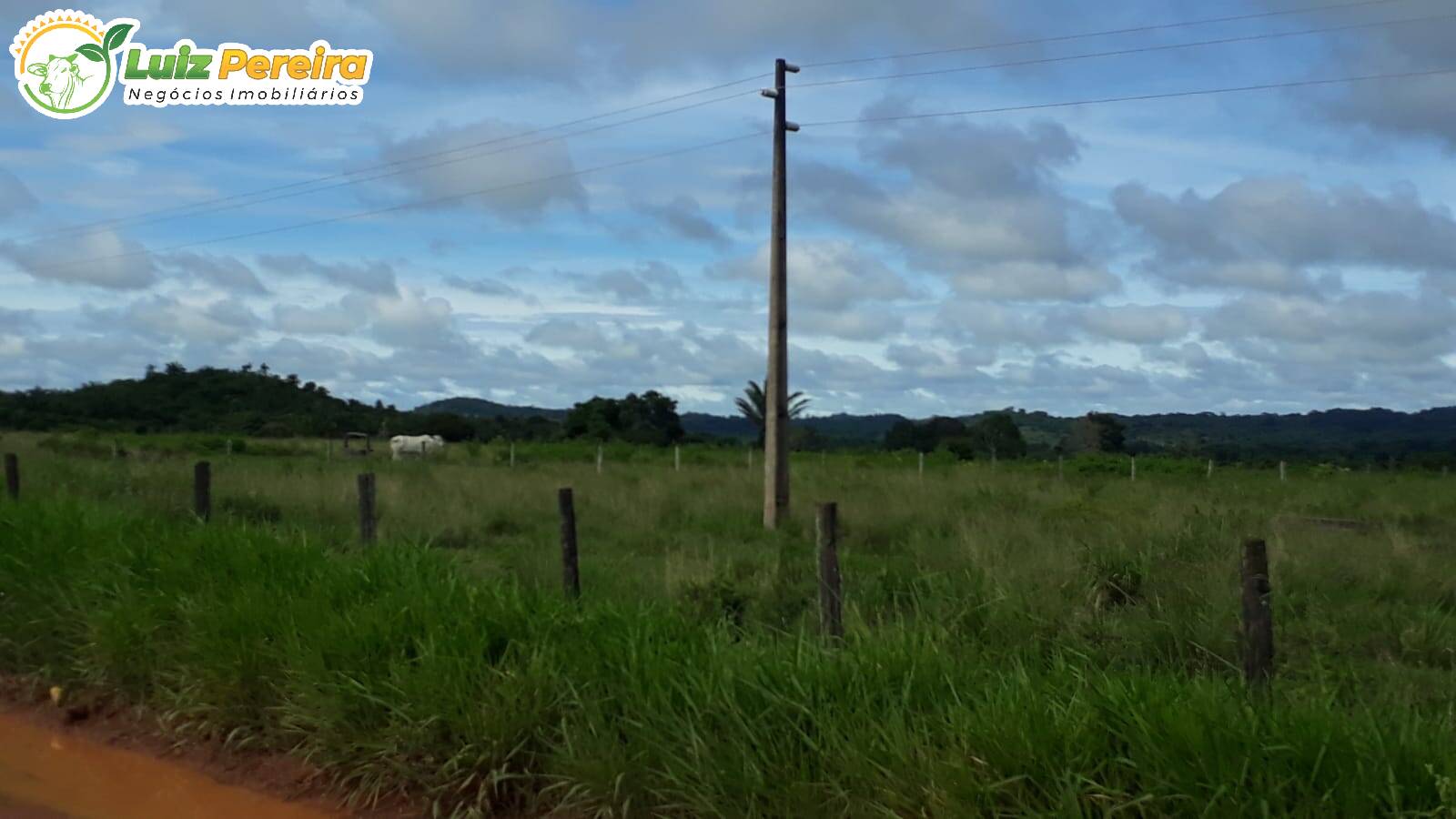 Fazenda à venda, 82280000m² - Foto 7