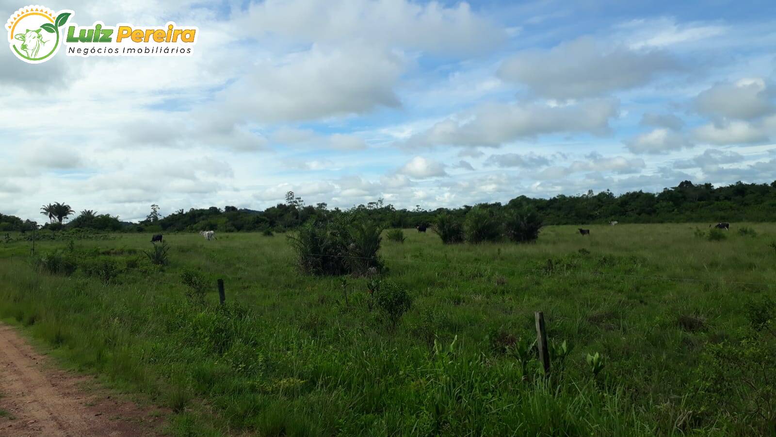 Fazenda à venda, 82280000m² - Foto 8