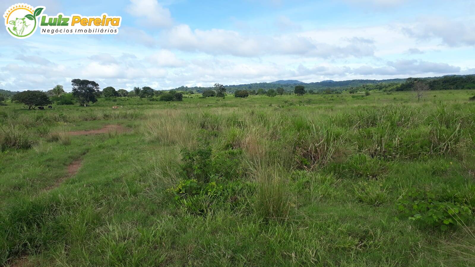 Fazenda à venda, 82280000m² - Foto 9