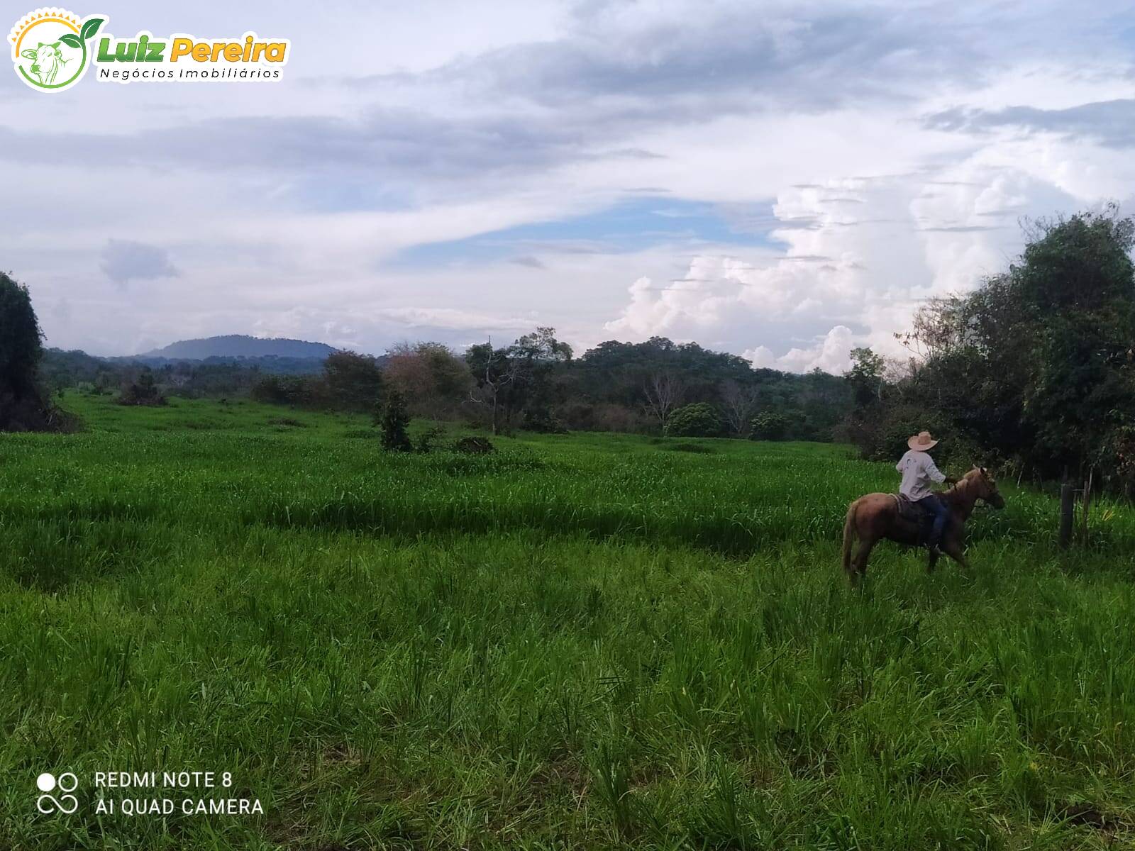 Fazenda-Sítio-Chácara, 8228 hectares - Foto 1