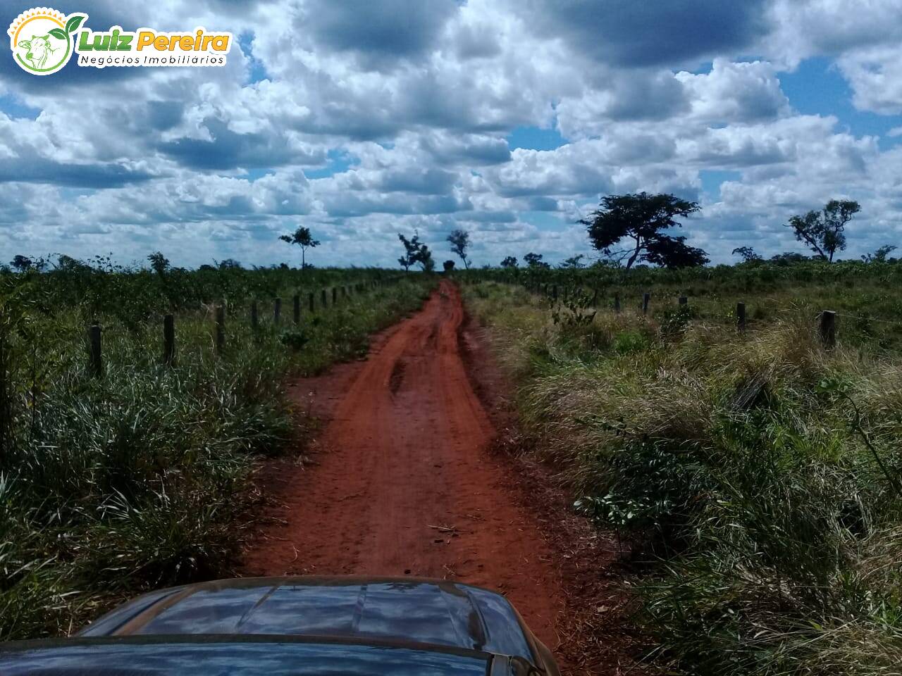 Fazenda à venda, 15000000m² - Foto 9