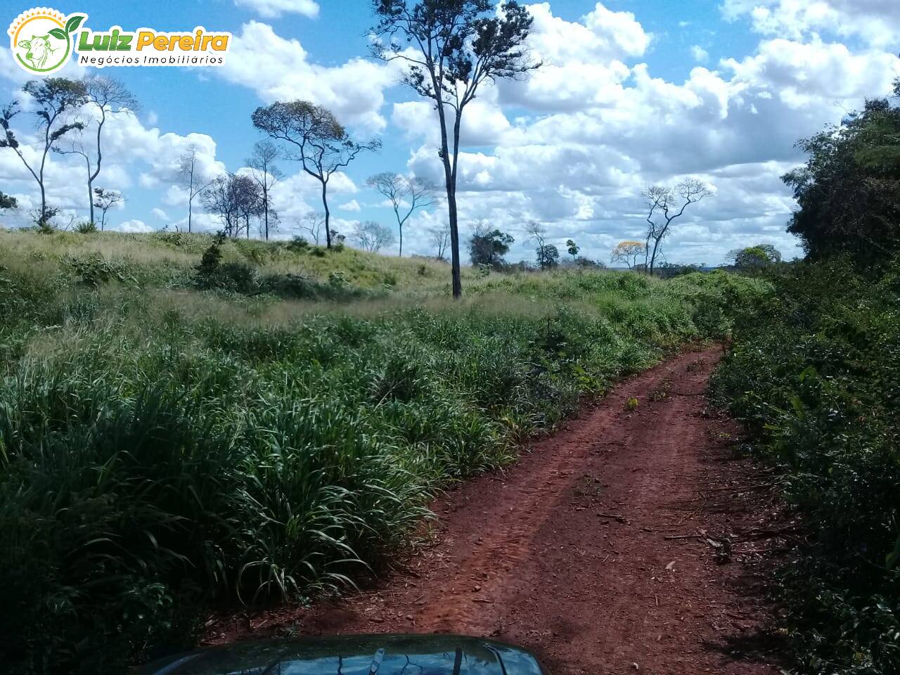 Fazenda à venda, 15000000m² - Foto 8