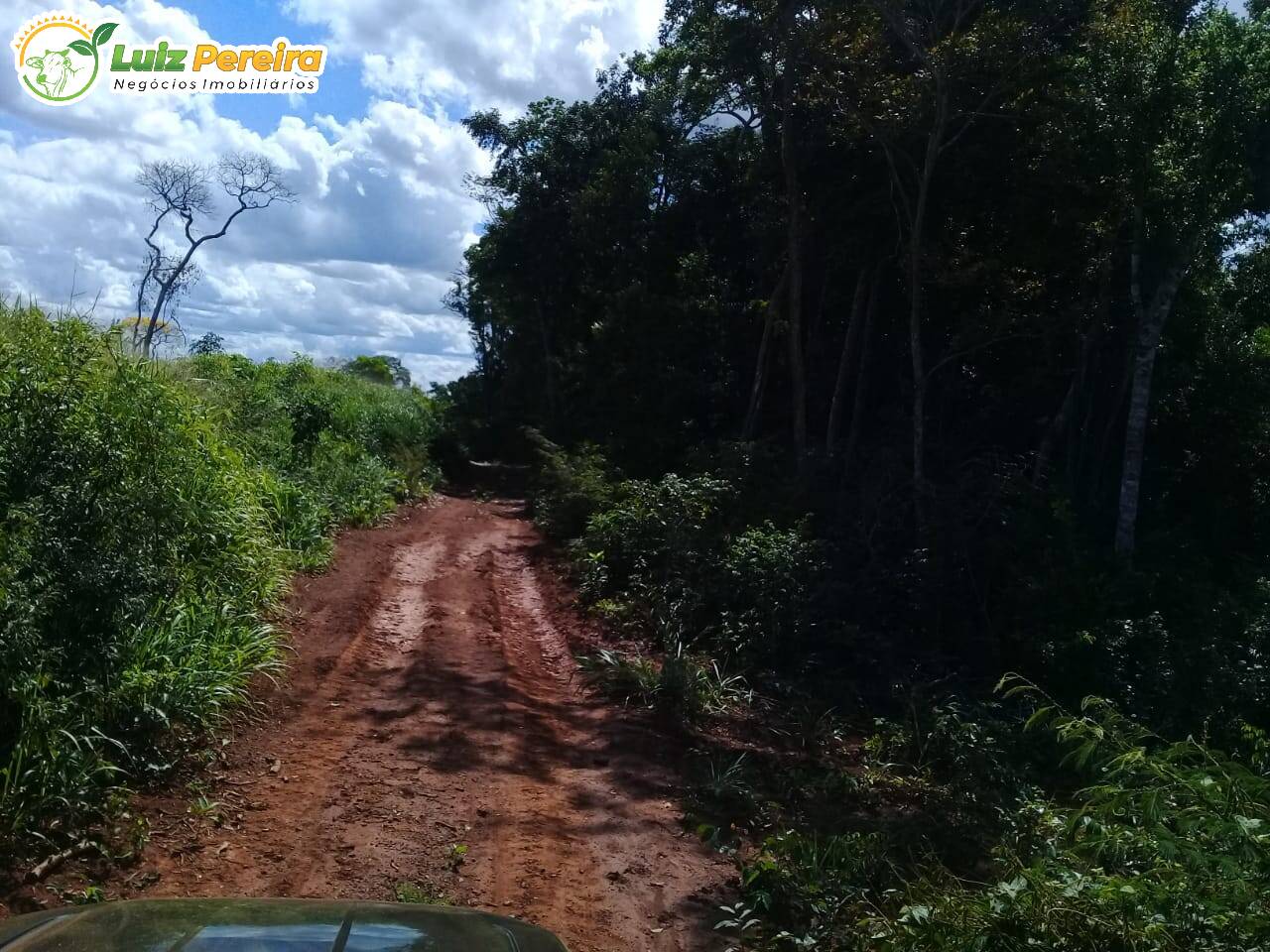 Fazenda à venda, 15000000m² - Foto 7