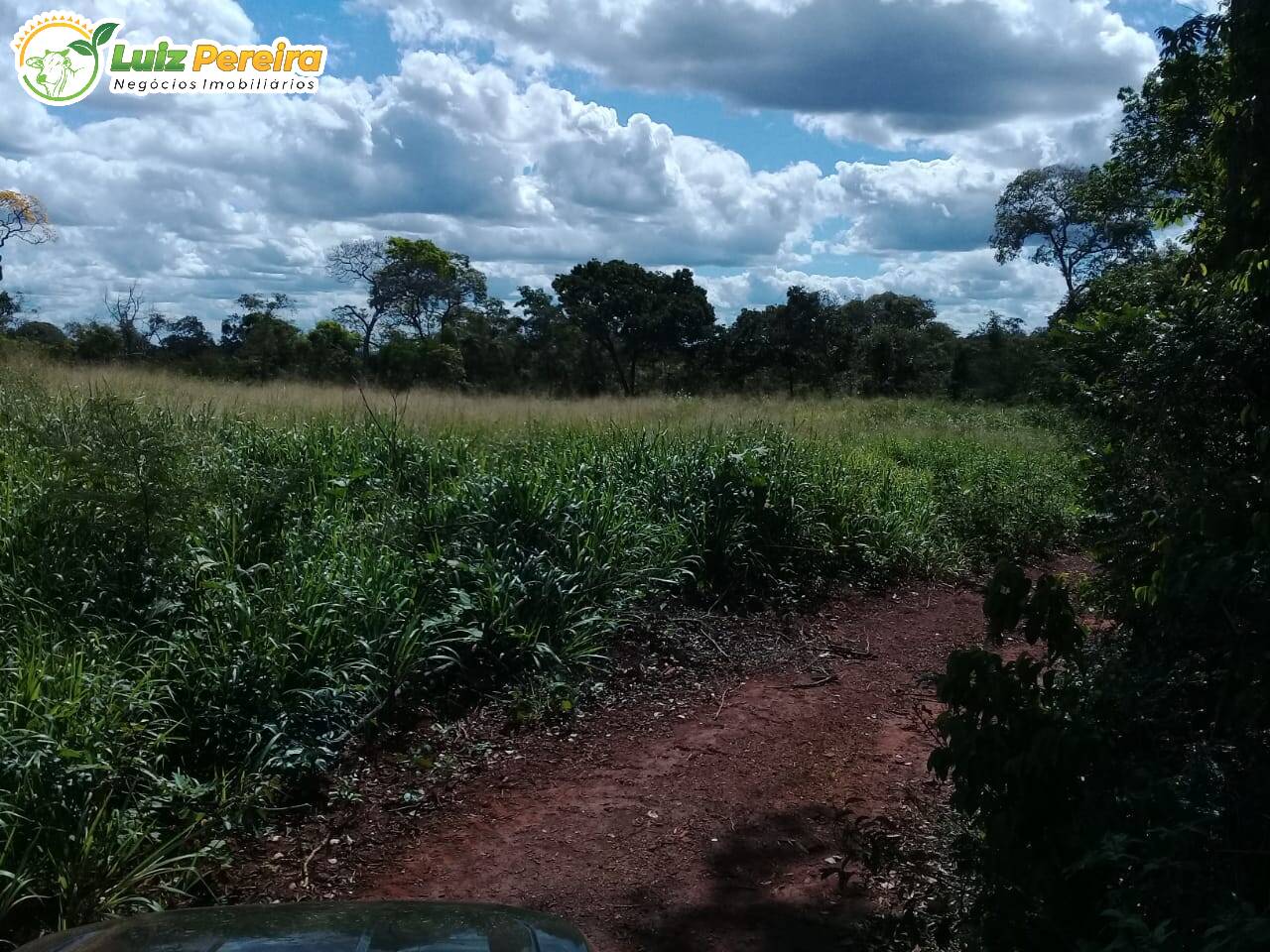 Fazenda à venda, 15000000m² - Foto 6