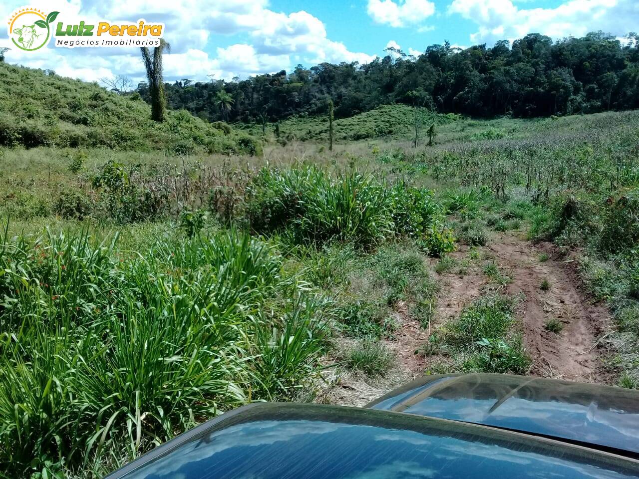 Fazenda à venda, 15000000m² - Foto 12