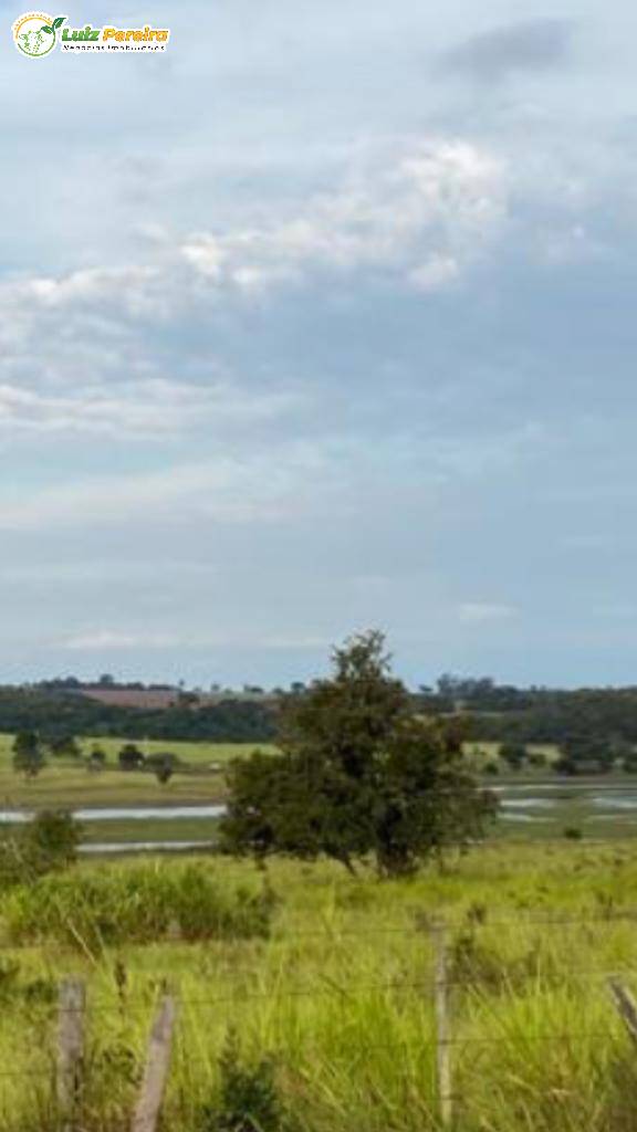 Fazenda-Sítio-Chácara, 150 hectares - Foto 3