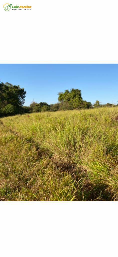 Fazenda à venda, 1500400m² - Foto 6