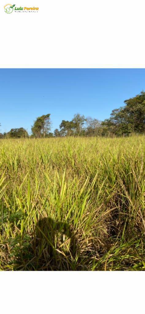 Fazenda à venda, 1500400m² - Foto 8