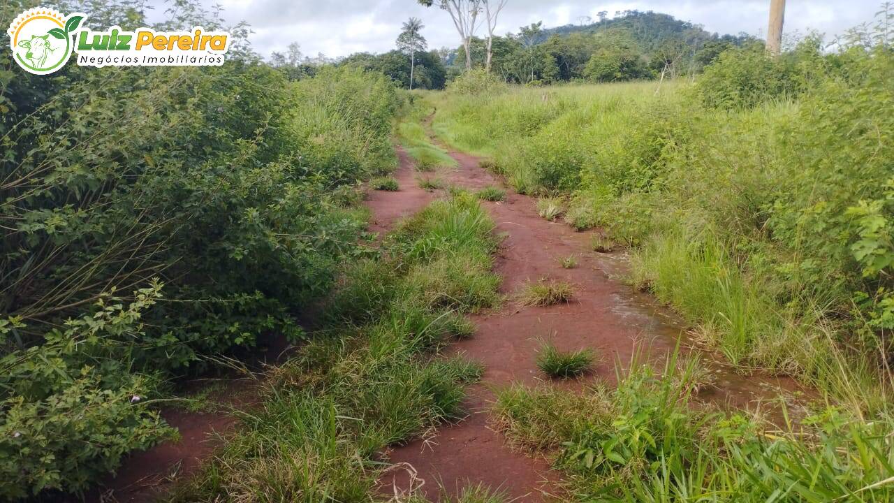 Fazenda à venda, 145200000m² - Foto 11