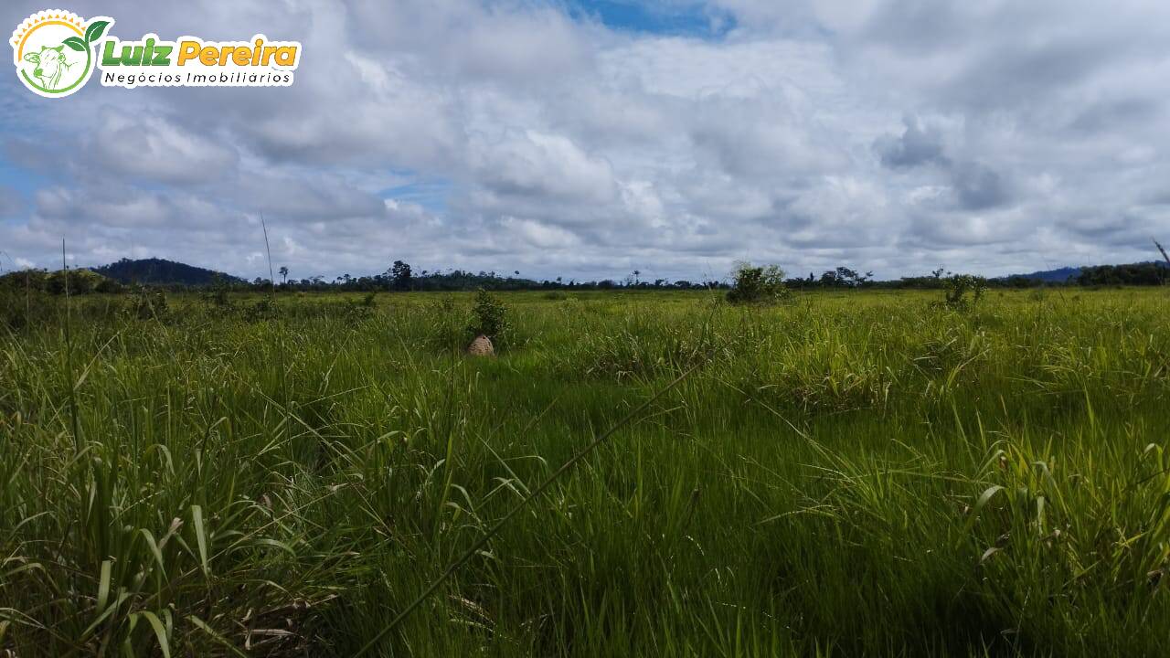 Fazenda à venda, 145200000m² - Foto 5