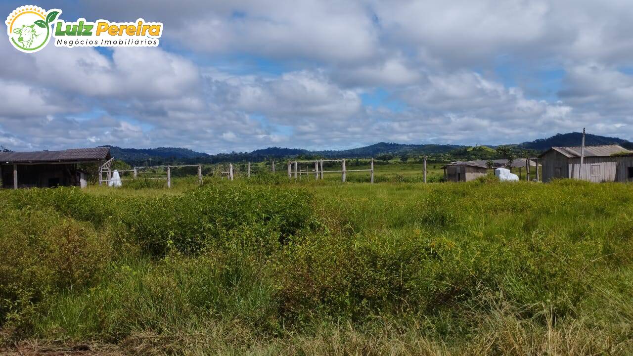 Fazenda à venda, 145200000m² - Foto 1