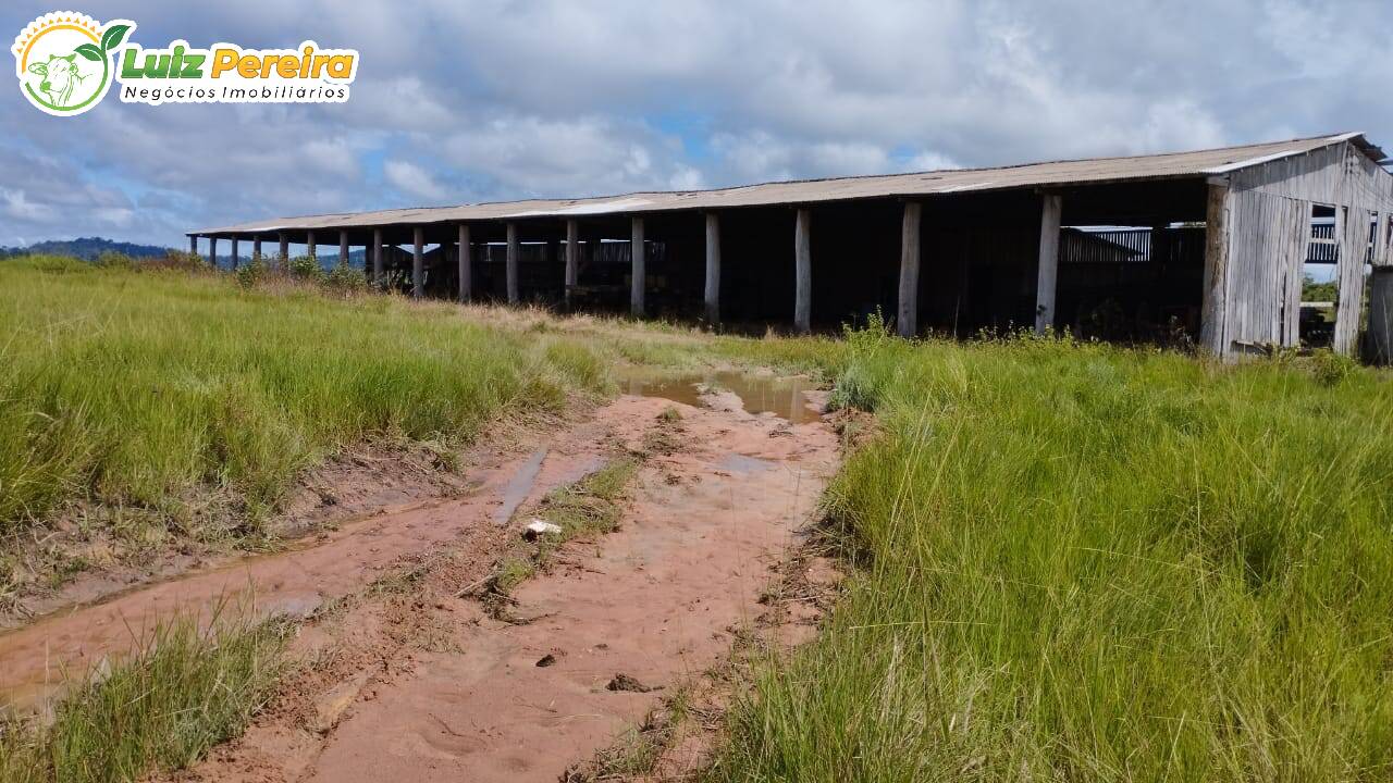 Fazenda à venda, 145200000m² - Foto 12