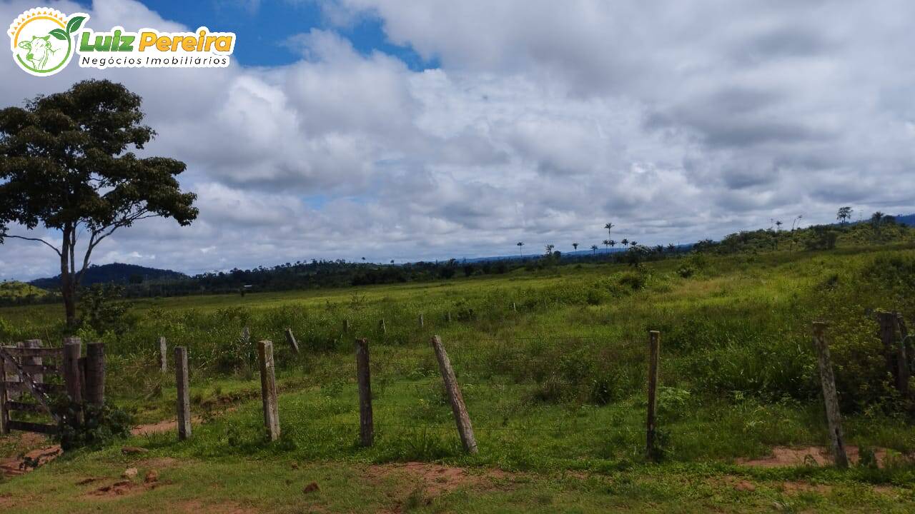 Fazenda à venda, 145200000m² - Foto 6