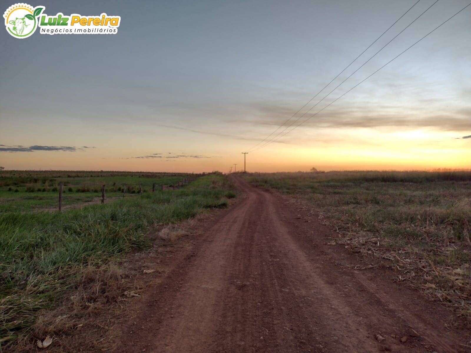 Fazenda-Sítio-Chácara, 2420 hectares - Foto 1