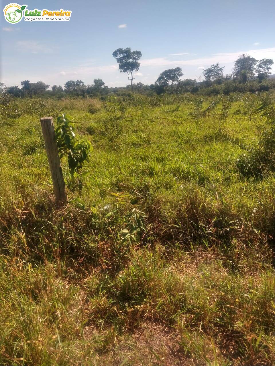 Fazenda à venda, 6080000m² - Foto 6