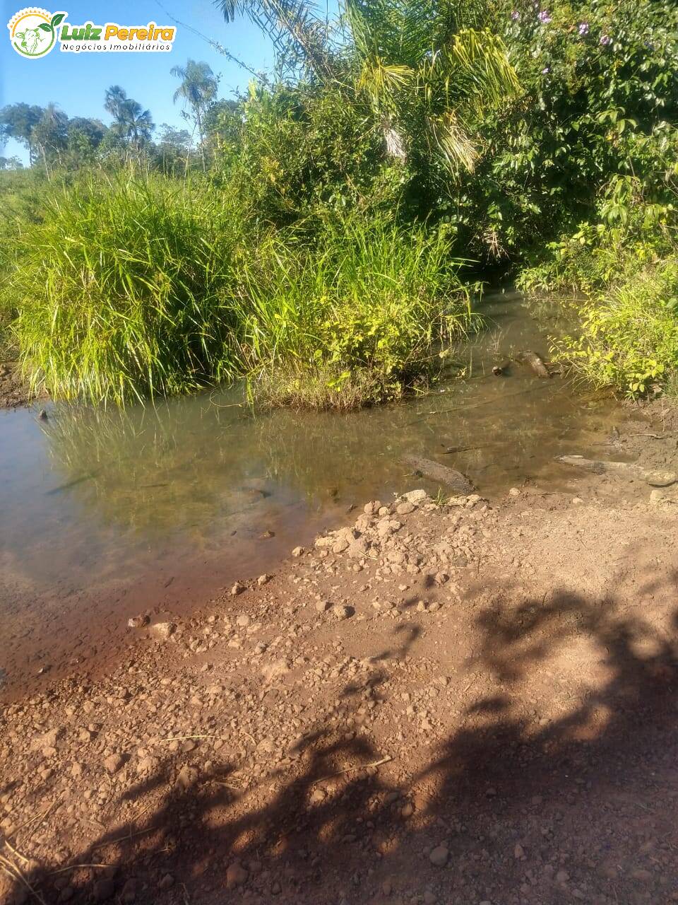 Fazenda à venda, 6080000m² - Foto 7