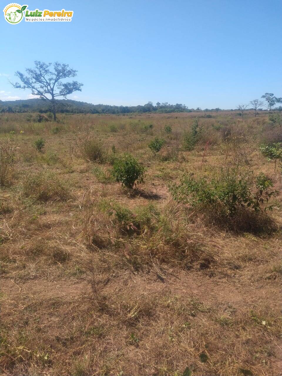 Fazenda à venda, 6080000m² - Foto 8