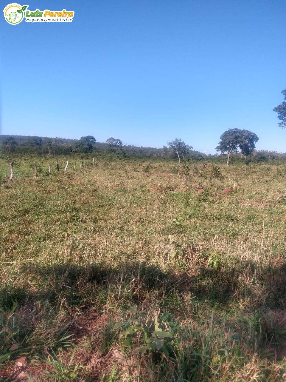 Fazenda à venda, 6080000m² - Foto 19