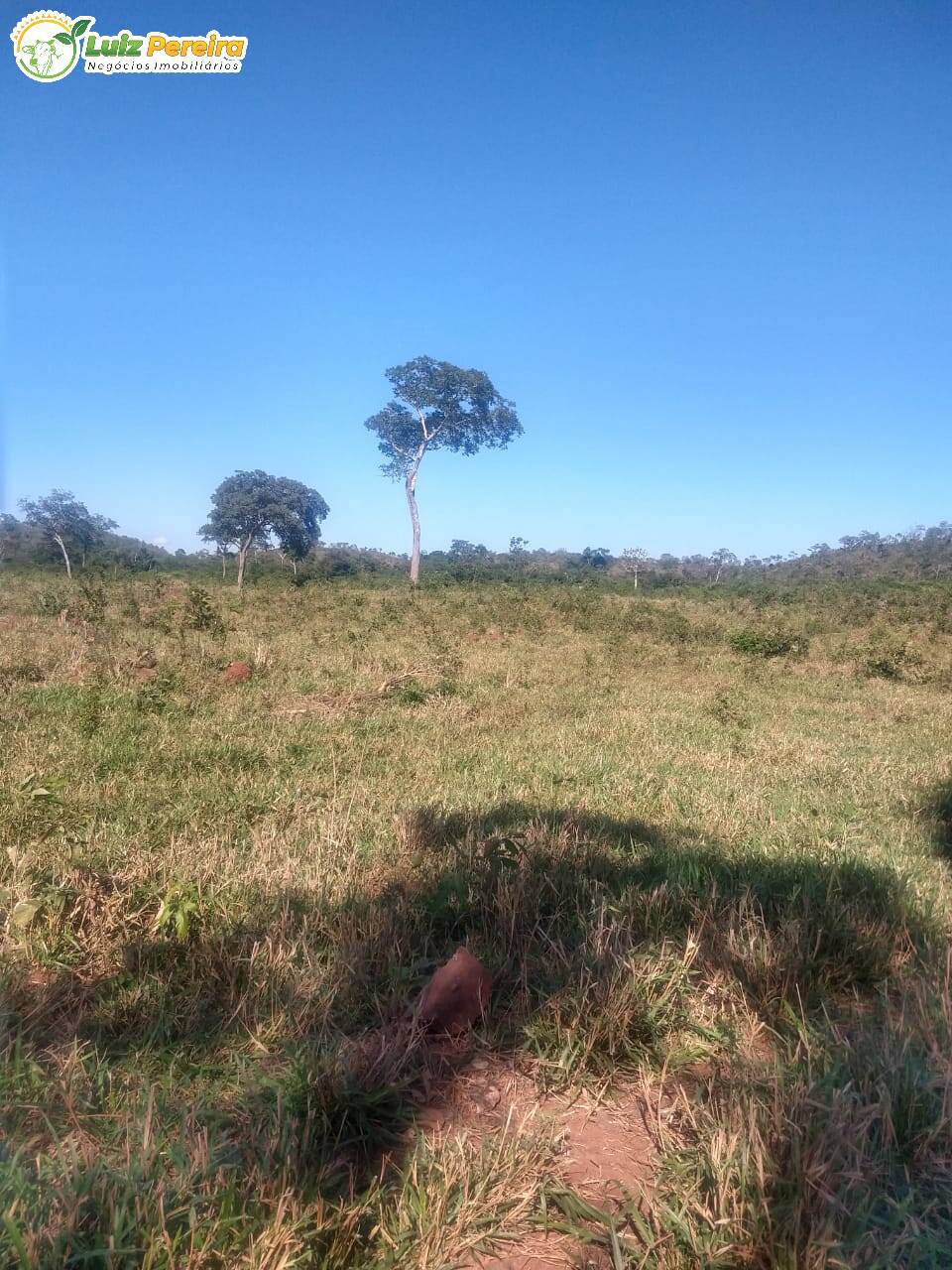 Fazenda à venda, 6080000m² - Foto 18