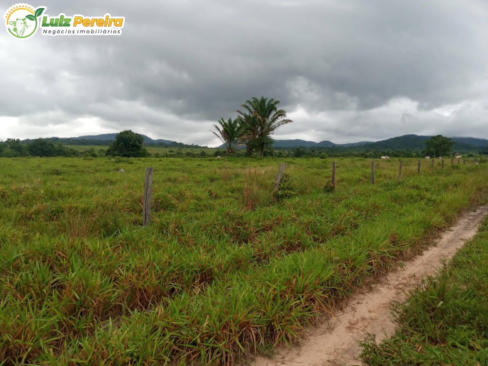 Fazenda à venda, 24200000m² - Foto 7