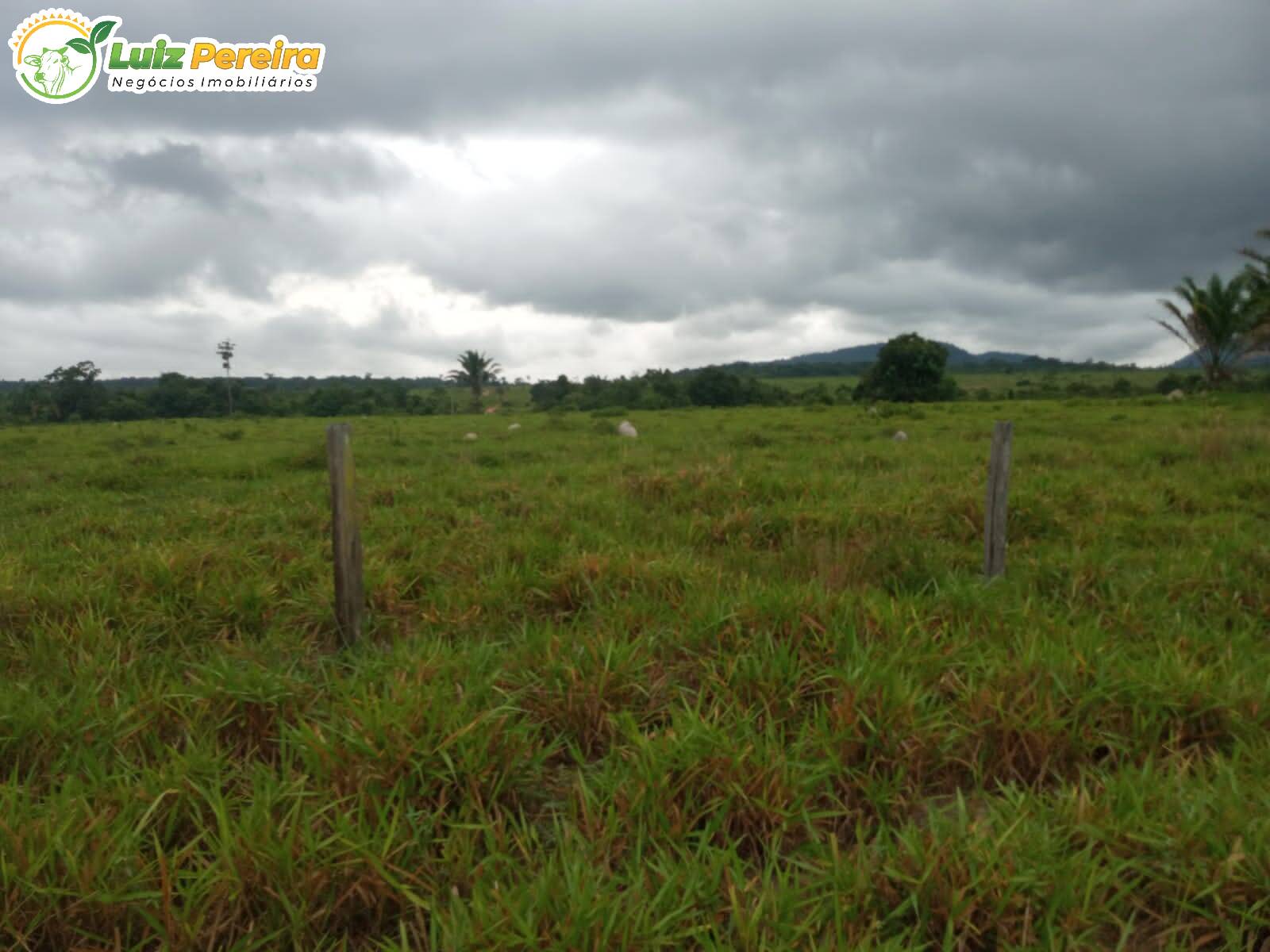 Fazenda à venda, 24200000m² - Foto 6