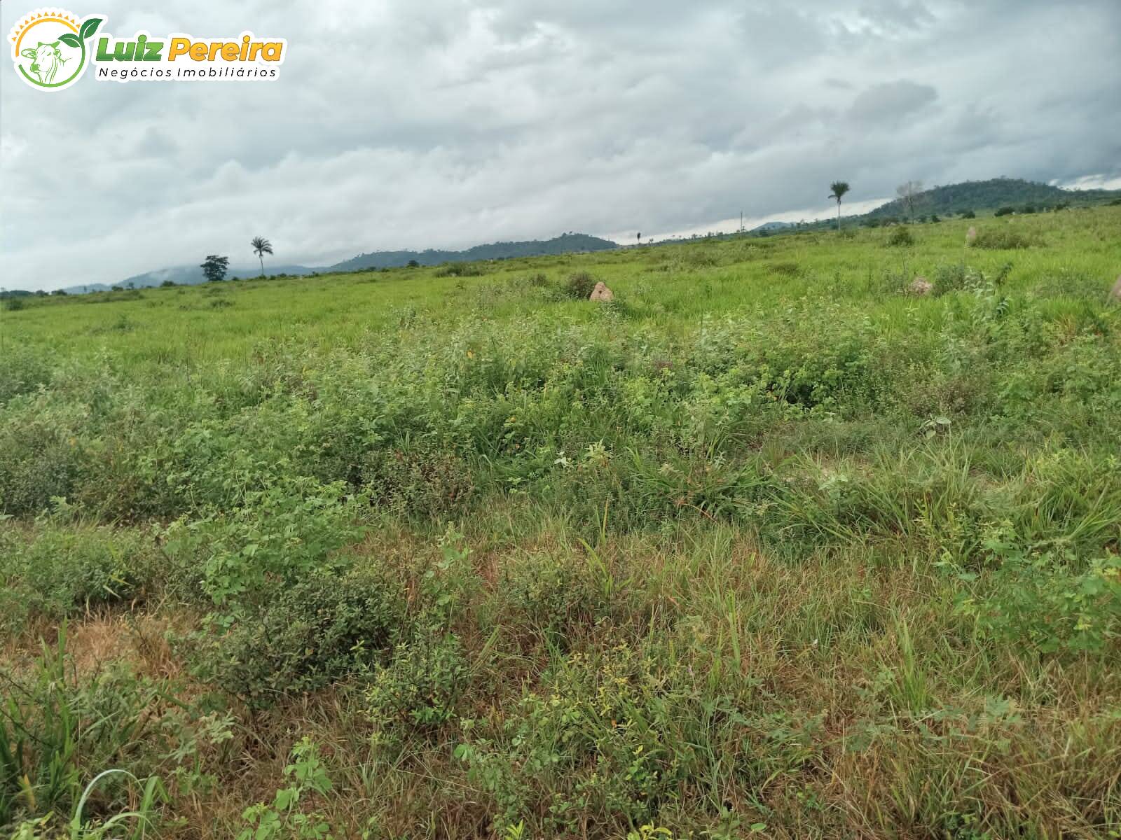 Fazenda à venda, 24200000m² - Foto 3