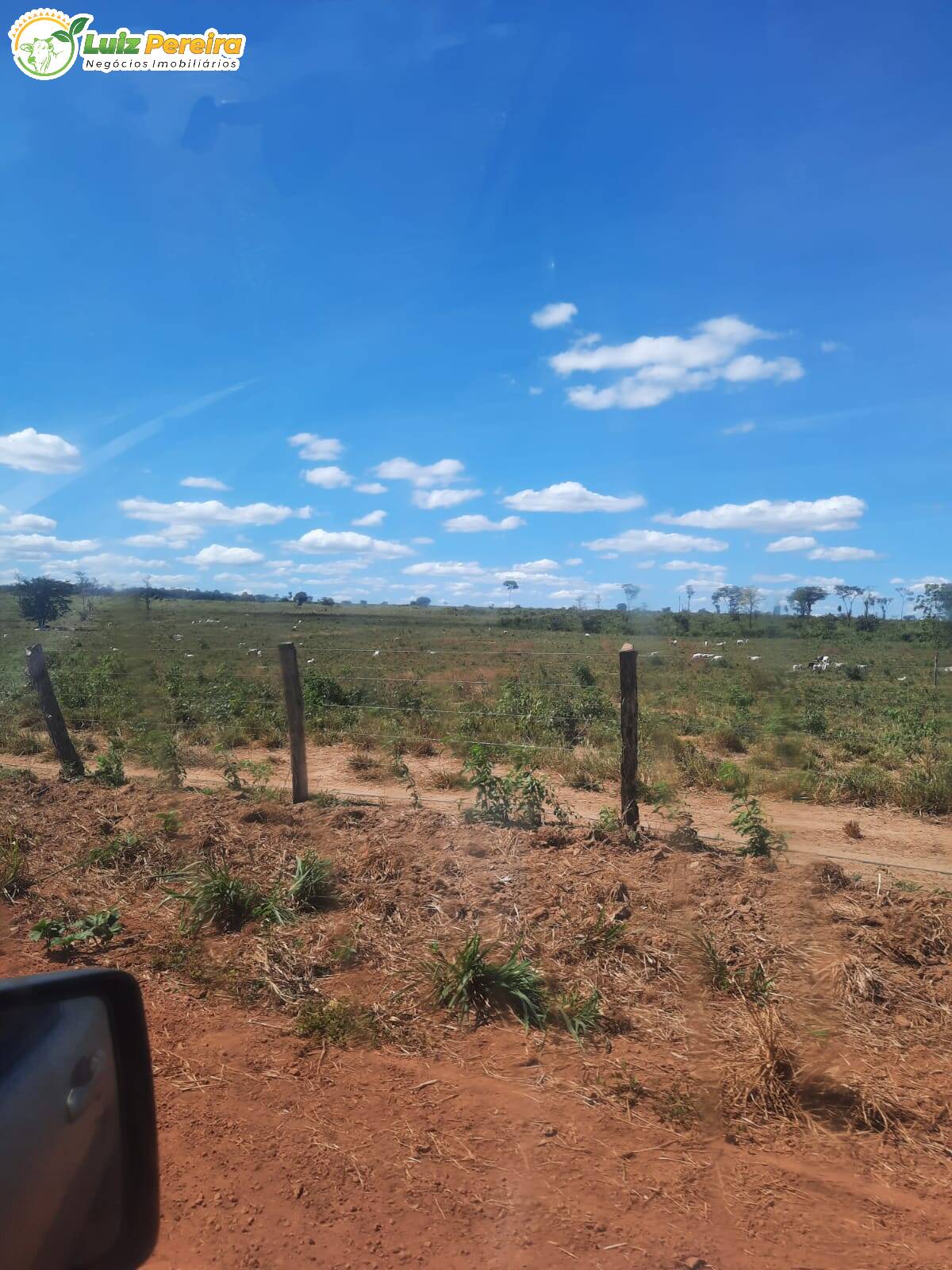 Fazenda à venda, 24000000m² - Foto 10