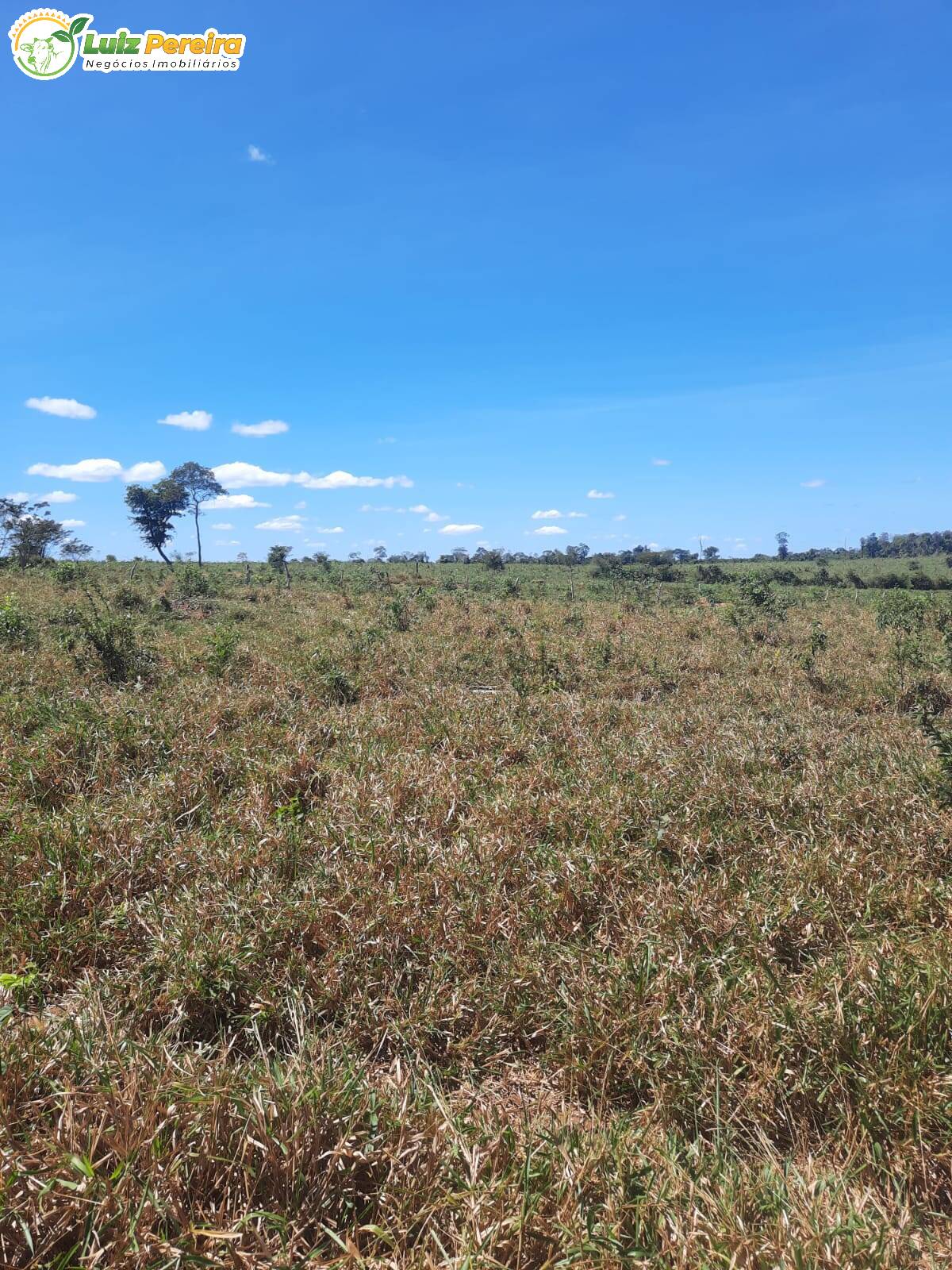 Fazenda à venda, 24000000m² - Foto 5