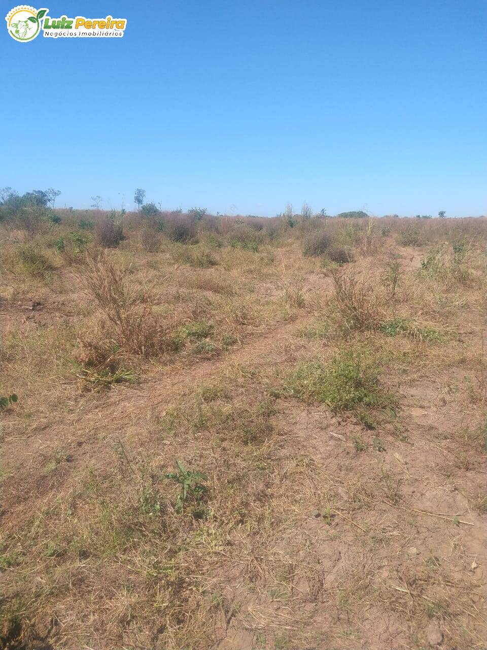 Fazenda à venda, 6080000m² - Foto 17